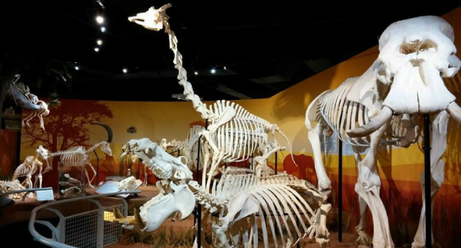 airfare deals to Orlando