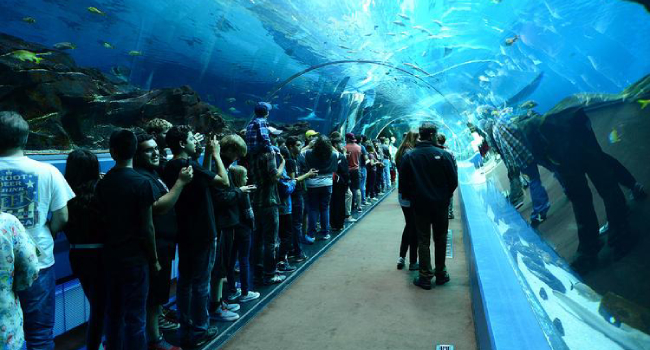 plane tickets to Atlanta